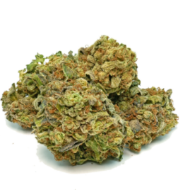 Buy bruce banner strain, bruce banner #3 strain, bruce banner 3 strain, bruce banner weed strain, bruce banner strain denver, bruce banner 5 strain