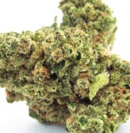 Buy birthday cake weed strain Illinois, Legit weed delivery dispensary Elgin, where to find weed in Peoria, Champaign real medical weed shop.