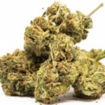 Buy og kush strain, og kush breath strain, lemon og kush strain, sfv og kush strain, og kush strain review, USA, Canada, UK, Australia.