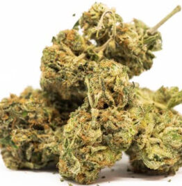 Buy og kush strain, og kush breath strain, lemon og kush strain, sfv og kush strain, og kush strain review, USA, Canada, UK, Australia.