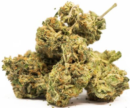 Buy og kush strain, og kush breath strain, lemon og kush strain, sfv og kush strain, og kush strain review, USA, Canada, UK, Australia.