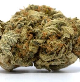 Buy white widow strain, white widow weed strain, white widow strain information, united states, australia, canada, united kingdom.