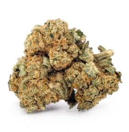 Buy birthday cake strain, birthday cake weed strain, birthday cake kush strain, united states, Canada, united kingdom, Puerto Rico.