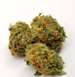 Buy pineapple express weed strain, pineapple express strain review, pineapple express weed strain, pineapple express strain yield.
