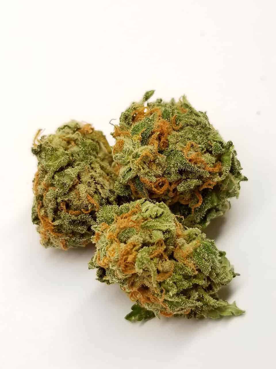 Buy pineapple express weed strain, pineapple express strain review, pineapple express weed strain, pineapple express strain yield.