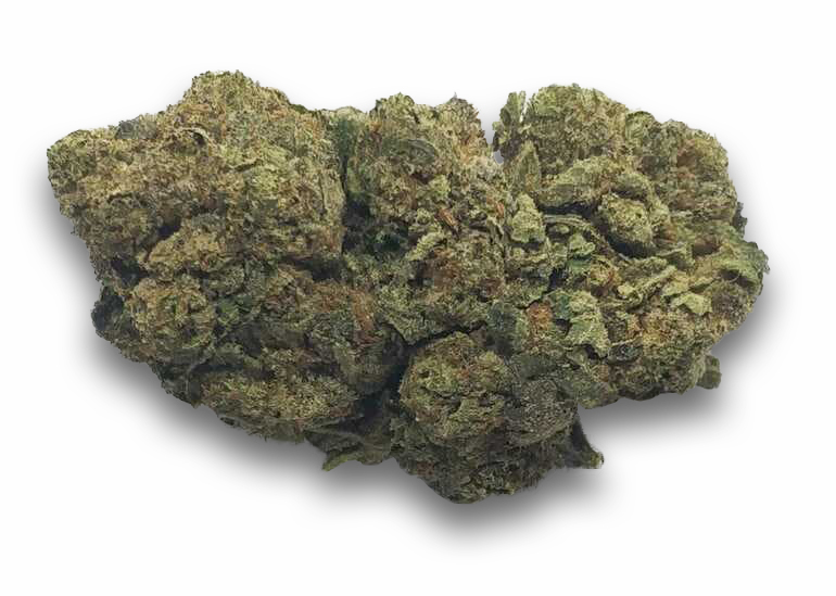 Buy dosido strain, dosido weed strain, dosido strain seeds, dosido strain flower time, lemon dosido strain, united states, uk, Canada.