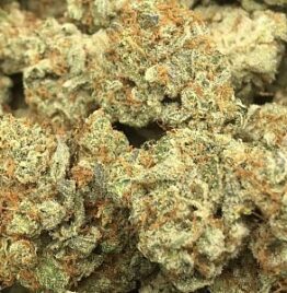 Buy gorilla glue strain, gorilla glue 4 strain, gorilla glue #4 strain, gorilla glue weed strain, gorilla glue strain info, USA, Canada, UK, Australia.