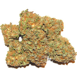 Buy orange sherbet strain, orange sherbet strain review, orange sherbet weed strain, united states, united kingdom, Canada, Australia