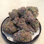 Buy grape ape strain, grape ape weed strain, grape ape strain review, grape ape strain yield, united states, Canada, united kingdom, Australia