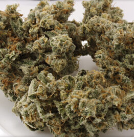 Buy train wreck weed strain Illinois, Legit weed delivery dispensary Waukegan, where to find weed in Cicero, Bloomington real medical weed shop.