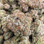slurricane weed strain for sale