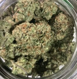 motorbreath weed strain for sale