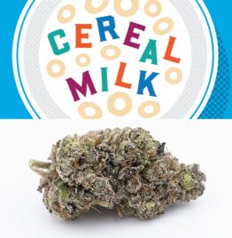 buy cereal milk cookies weed strain, cookies cereal milk cartridge, in all cities in usa, uk, canada, australia, cannabis cookies dispensary