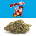 buy grenadine cookies weed strain, california dispensary, cali weed strain, in all cities in usa, uk, canada, australia