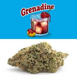 buy grenadine cookies weed strain, california dispensary, cali weed strain, in all cities in usa, uk, canada, australia