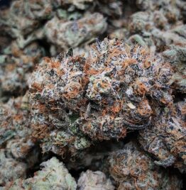 zookies weed strain for sale