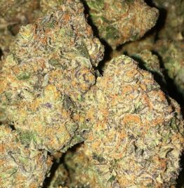 Sherblato weed strain for sale near me
