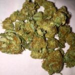 buy tangerine haze strain, tangerine haze, tangerine haze leafly, tangerine haze thc level, tangerine haze seeds, in all cities in, usa, uk.