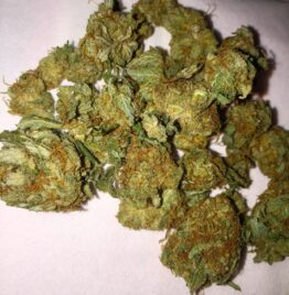 buy tangerine haze strain, tangerine haze, tangerine haze leafly, tangerine haze thc level, tangerine haze seeds, in all cities in, usa, uk.