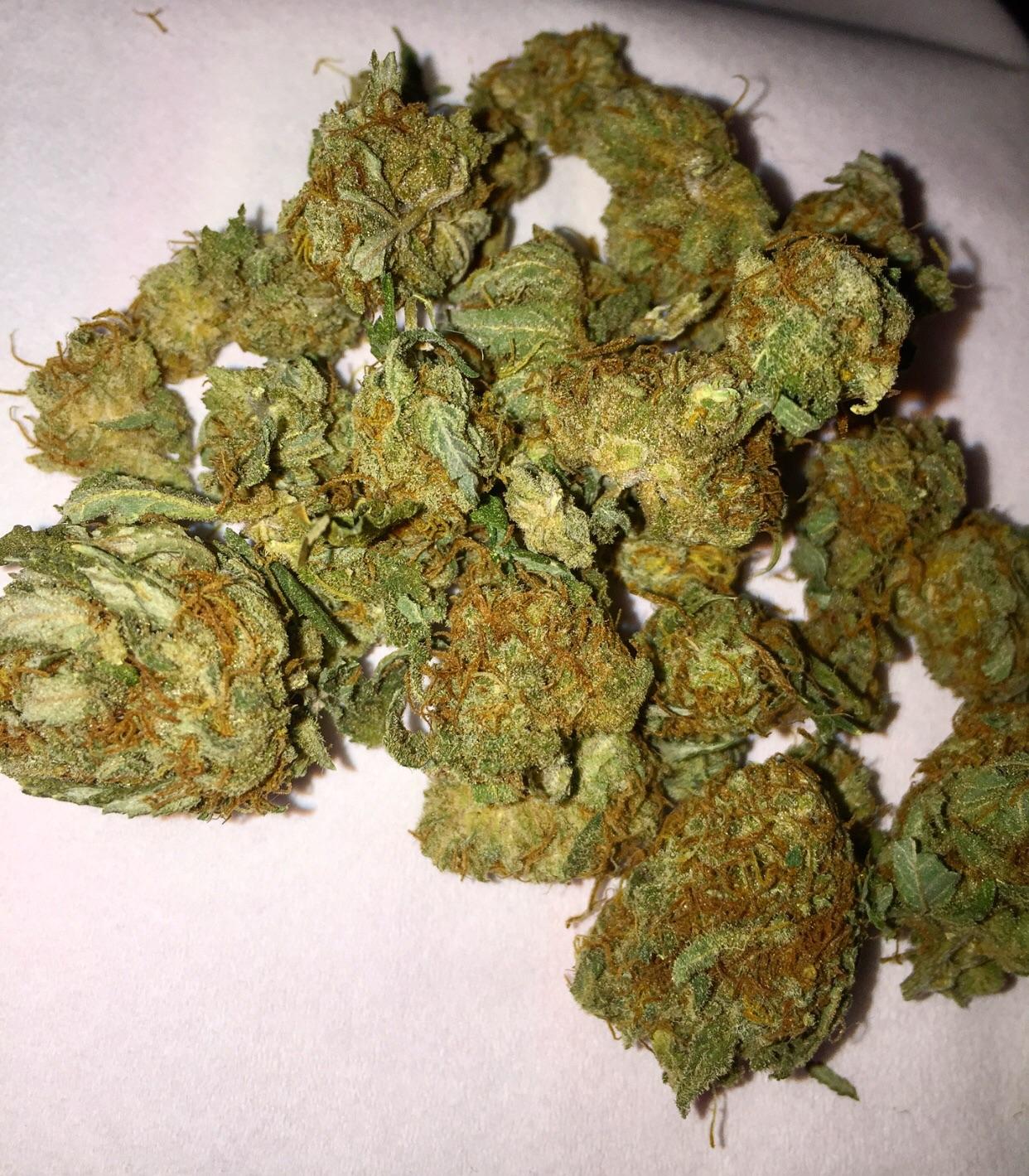 buy tangerine haze strain, tangerine haze, tangerine haze leafly, tangerine haze thc level, tangerine haze seeds, in all cities in, usa, uk.