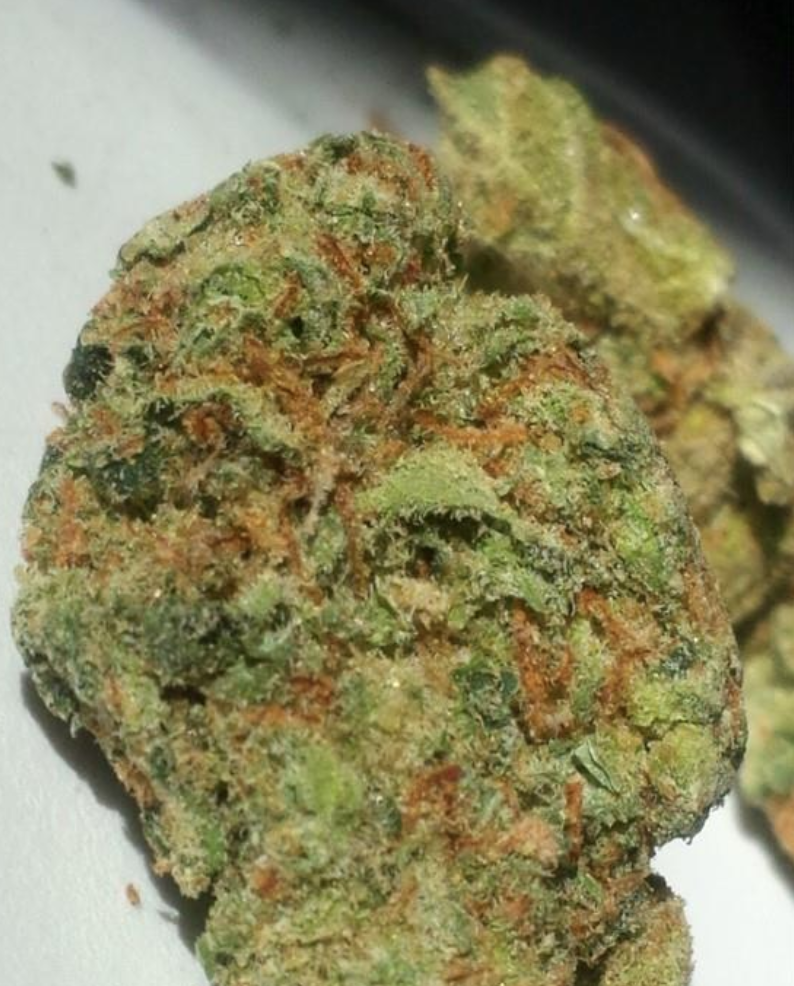 Tangerine Haze Strain - Image 2