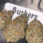 buy gushers weed strain, gushers strain review, in all cities in United States, United Kingdom, Canada, Australia, Germany