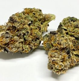 gelato cake weed strain for sale near me