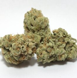 buy dolato strain, platinum dolato strain, dolato strain review, dolato strain leafly, info, in all cities in, usa, uk, canada, australia.