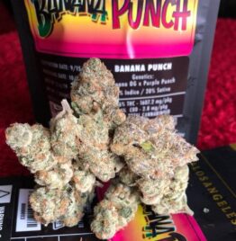 banana punch weed strain for sale