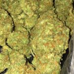 buy sour og strain, super sour og strain, sour og kush strain, sour alien og weed strain, reviews, in all cities in, usa, uk, canada