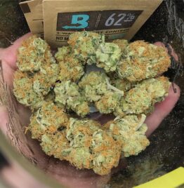 Super lemon haze weed strain for sale online near me