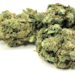 Violator kush weed strain for sale near me