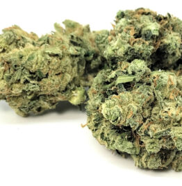 Violator kush weed strain for sale near me