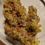 gmo garlic cookies weed strain for sale