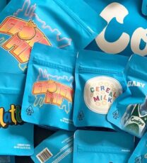 Berner Cookies Berner Cookies