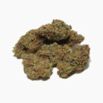 Peanut butter breath weed strain for sale