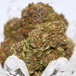 buy grape pie weed strain, grape pie strain, grape pie strain leafly, grape pie strain info, review, in all cities in USA, Canada, AU, IE, MX