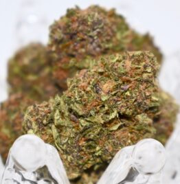 buy grape pie weed strain, grape pie strain, grape pie strain leafly, grape pie strain info, review, in all cities in USA, Canada, AU, IE, MX