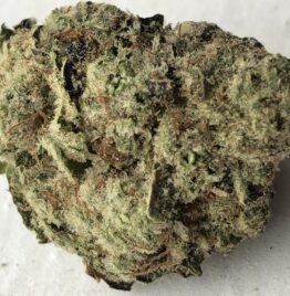 Buy cherry punch weed strain, black cherry punch strain, cherry punch strain leafly, cherry punch strain review, USA, UK Canada.