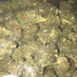 buy jager weed strain, purple jager strain, jager strain, jager strain leafly, jager og strain, in all cities in usa, canada, uk, ireland