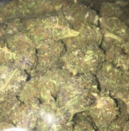buy jager weed strain, purple jager strain, jager strain, jager strain leafly, jager og strain, in all cities in usa, canada, uk, ireland