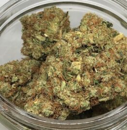 buy king louie weed strain, king louie 13 strain, king louie og strain, king louie xiii strain, in all cities in usa, uk, canada, australia