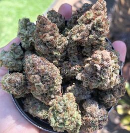 buy lava cake strain, lava cake strain leafly, lava cake weed strain info, review, in all cities in usa, uk, canada, australia, mexico