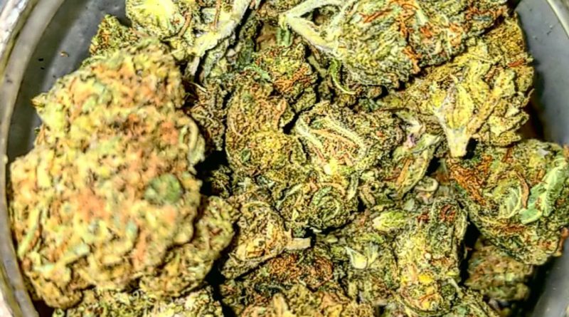 Sherblato Strain - Image 2