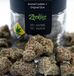 buy zookies weed strain, zookies cookies, zookies strain leafly, zooski, zookys, animal cookies leafly in all cities in usa, uk, australia