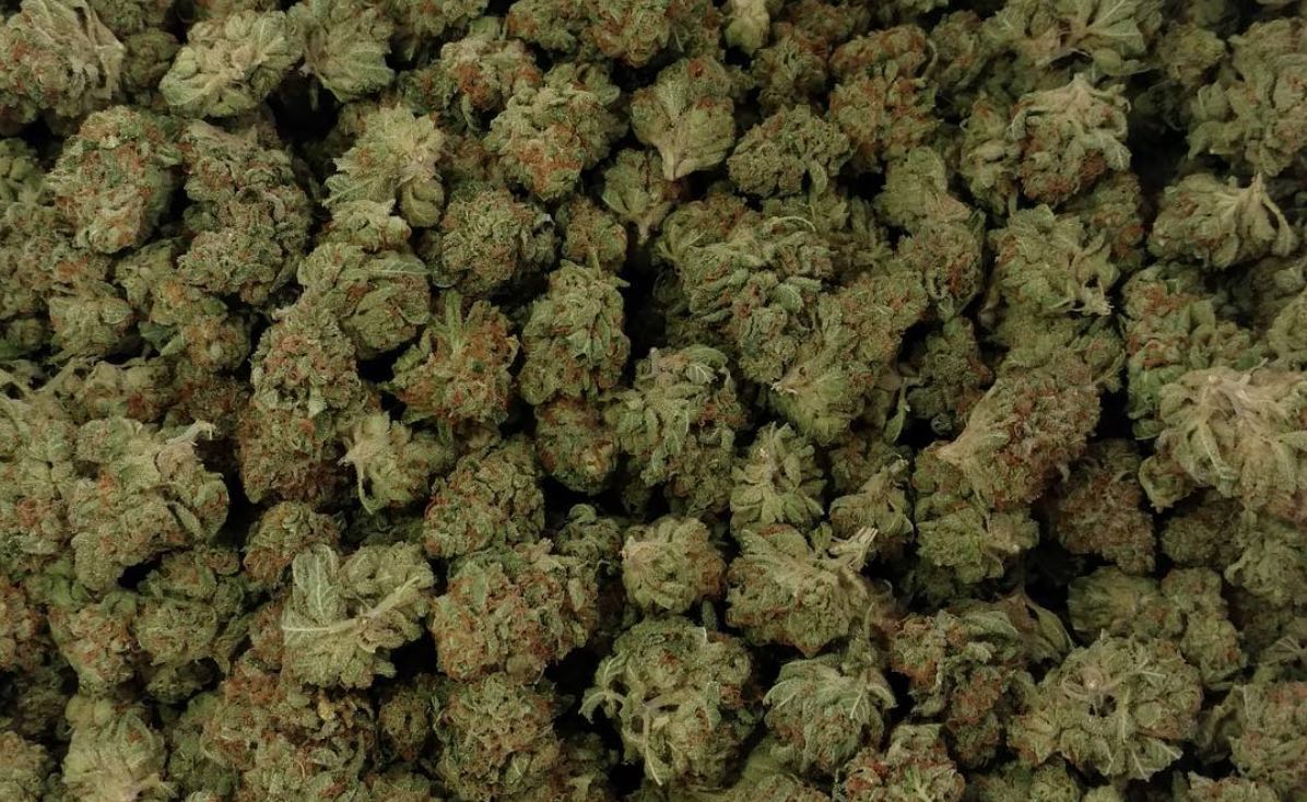 Bubba Kush Cannabis-Sorte zum Online-Verkauf in Wien Österreich