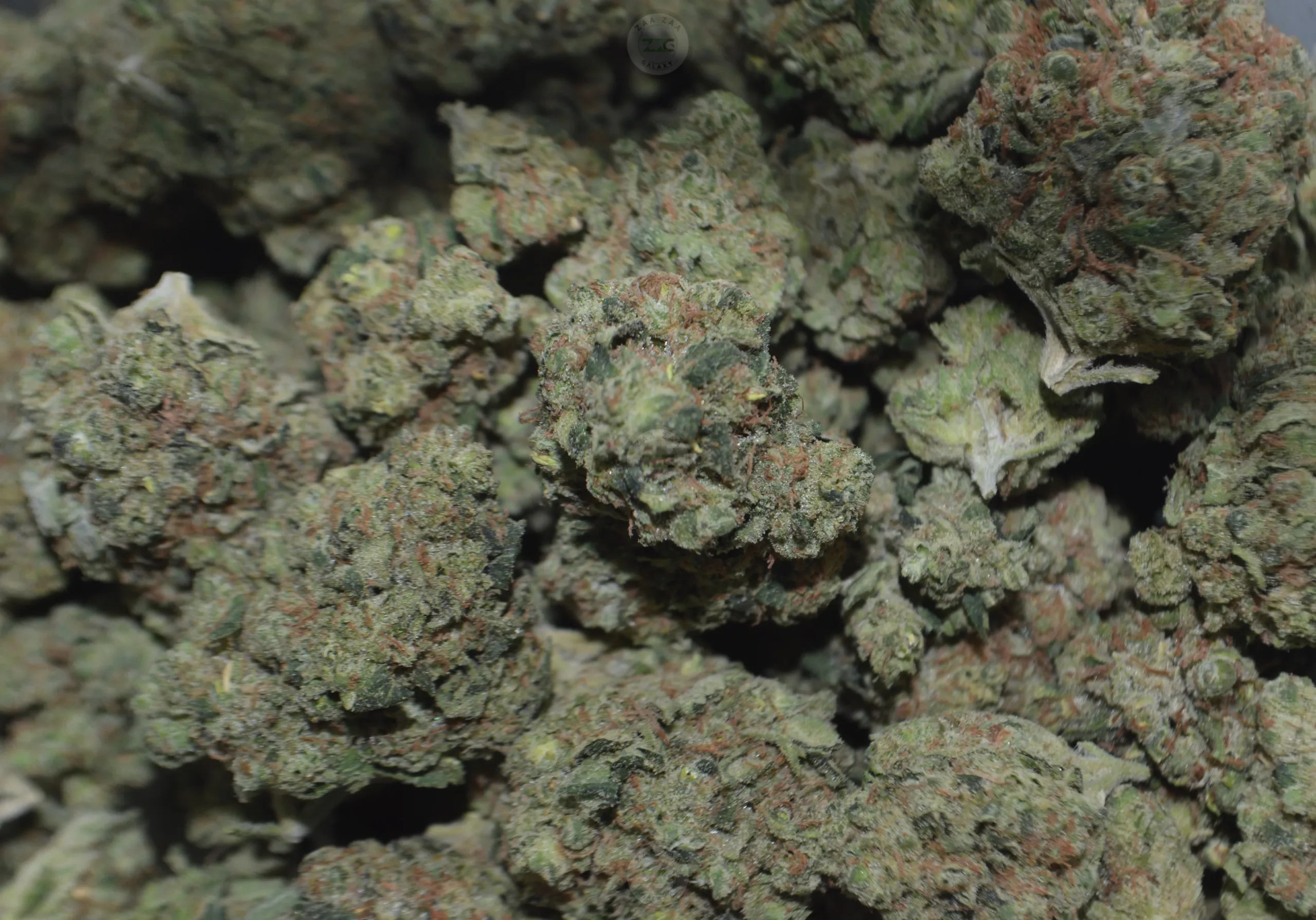 Purchasing Sour Diesel Cannabis Strain Online In Münster North Rhine-Westphalia Germany