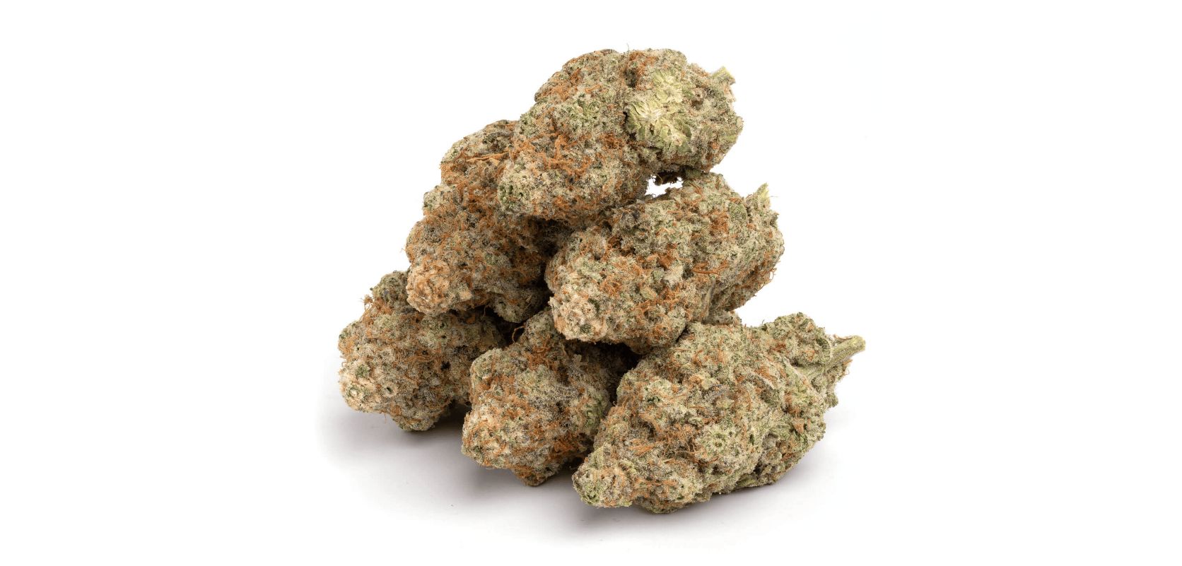 Purchasing GMO Cookies cannabis strain online in Leipzig Saxony Germany