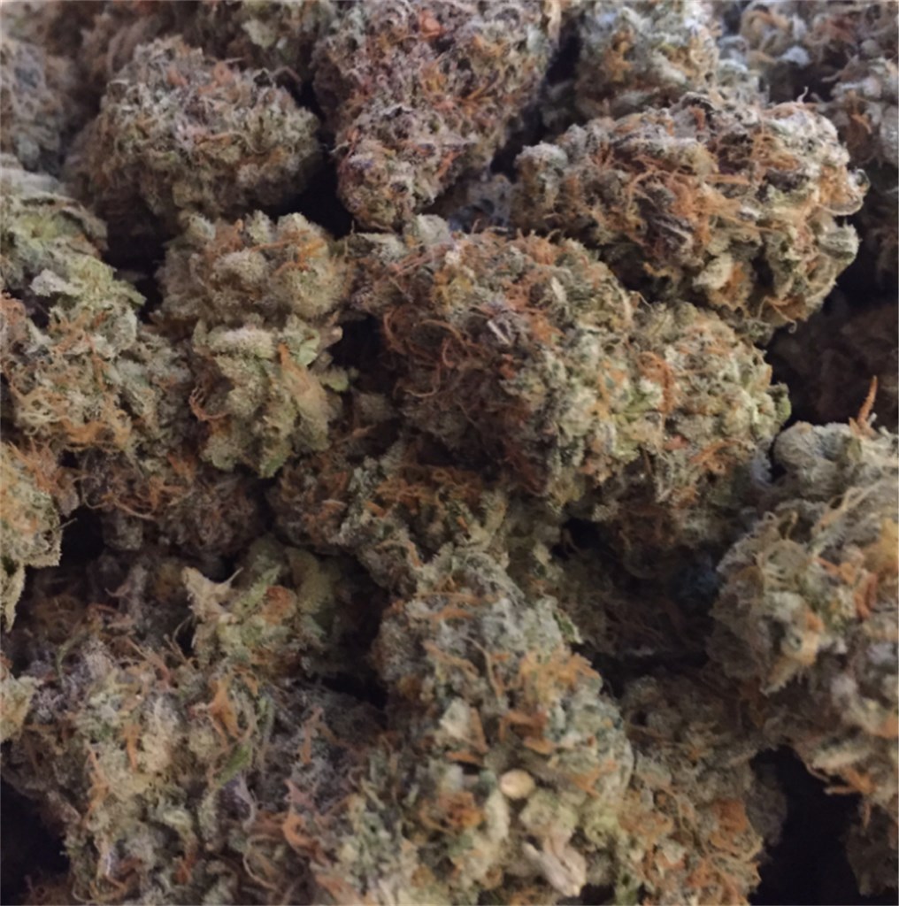 Kaufen Sie die Cannabissorte Mendo Breath online in Stuttgart Baden-Württemberg Deutschland